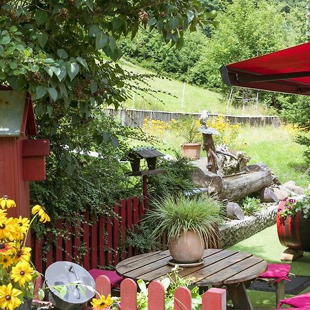 Gite Chez Mimie Breitenbach-Haut-Rhin Exterior photo