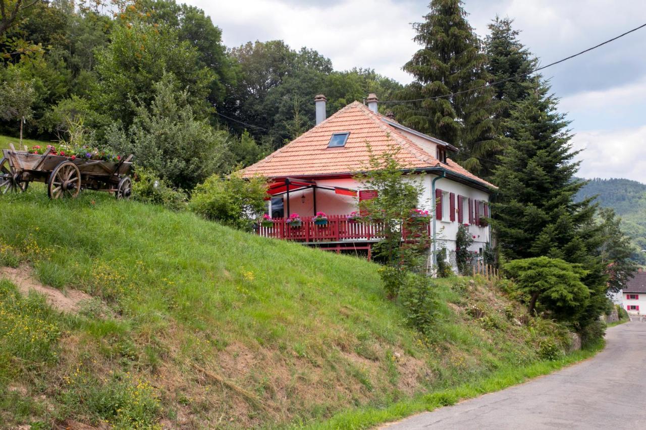Gite Chez Mimie Breitenbach-Haut-Rhin Exterior photo