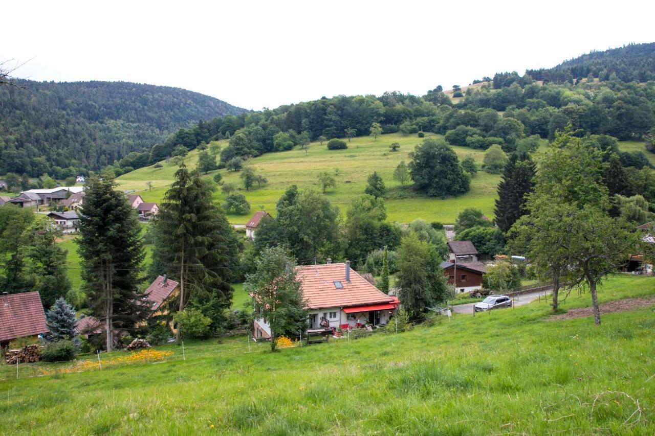 Gite Chez Mimie Breitenbach-Haut-Rhin Exterior photo