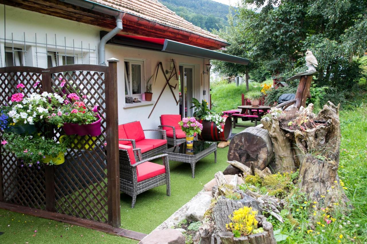 Gite Chez Mimie Breitenbach-Haut-Rhin Exterior photo